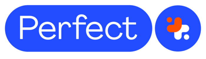 cropped-perfectplus_logo.png